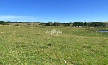 Imagem 5: Chácara em Rincão das Flores!!!