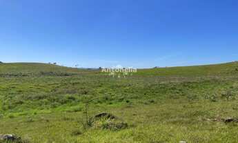 Imagem 6: Chácara em Rincão das Flores!!!