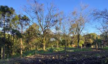 Imagem 3: Excelente Terreno à venda no Bairro Cruzeiro!