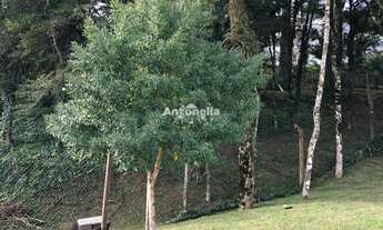 Imagem: Terreno à venda no bairro Pedancino!