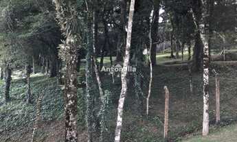 Imagem 3: Terreno à venda no bairro Pedancino!