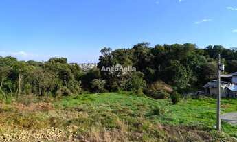 Imagem 7: Sobrado Triplex à venda no bairro Charqueadas