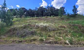Imagem: Terreno a venda no bairro Jardim das Hortências