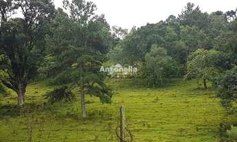 Imagem 2: Chácara à venda no Desvio Rizzo