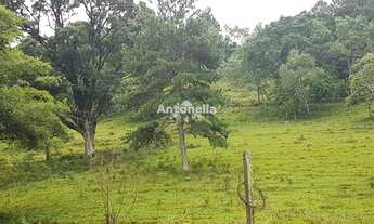 Imagem 4: Chácara à venda no Desvio Rizzo