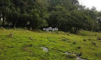 Imagem 5: Chácara à venda no Desvio Rizzo