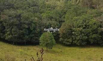 Imagem 6: Chácara à venda no Desvio Rizzo