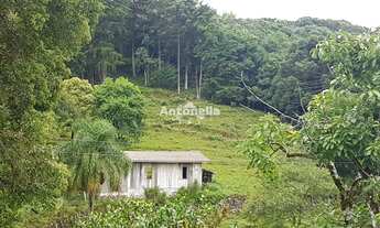 Imagem 7: Chácara à venda no Desvio Rizzo