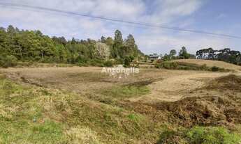 Imagem 4: Terreno à venda em Forqueta