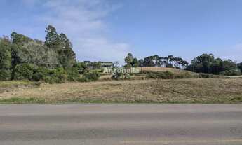 Imagem 5: Terreno à venda em Forqueta