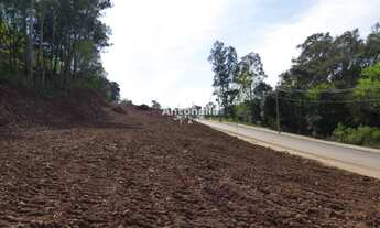 Imagem 2: Terreno à venda no bairro São Victor Cohab