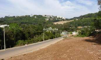 Imagem 4: Terreno à venda no bairro São Victor Cohab