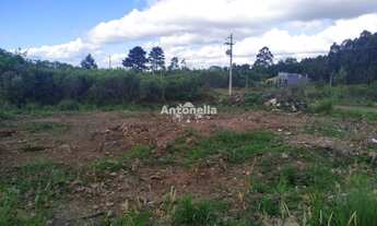 Imagem 3: Terreno à venda no bairro Desvio Rizzo