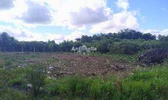 Imagem 4: Terreno à venda no bairro Desvio Rizzo