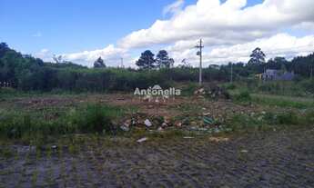 Imagem 5: Terreno à venda no bairro Desvio Rizzo