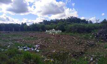 Imagem 6: Terreno à venda no bairro Desvio Rizzo
