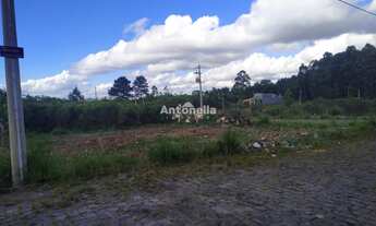 Imagem 7: Terreno à venda no bairro Desvio Rizzo