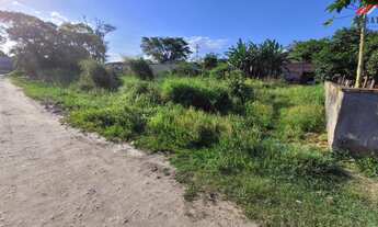 Imagem 5: TERRENO LIMPO E ATERRADO