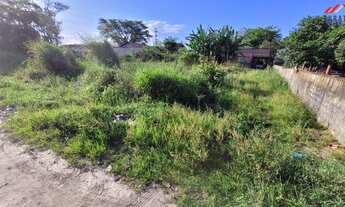 Imagem 6: TERRENO LIMPO E ATERRADO