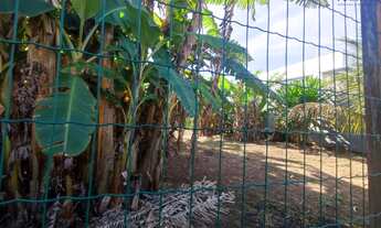 Imagem 6: NA QUADRA DO MAR