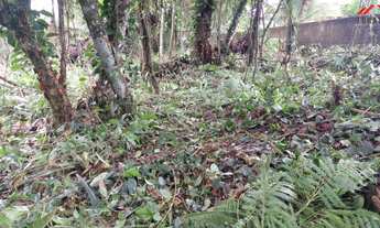 Imagem 5: TERRENO COM 764 M²