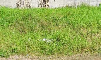 Imagem 4: TERRENO BEM LOCALIZADO