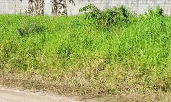 Imagem 5: TERRENO BEM LOCALIZADO