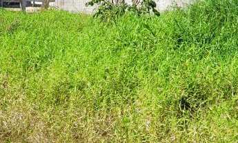 Imagem 6: TERRENO BEM LOCALIZADO