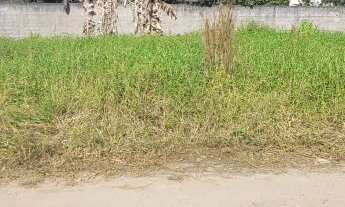 Imagem 7: TERRENO BEM LOCALIZADO