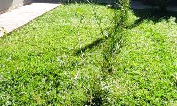 Imagem 7: CASA BEM LOCALIZADA