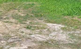 Imagem 3: TERRENO BEM LOCALIZADO