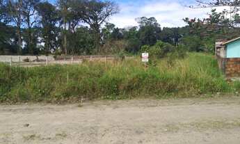 Imagem: TERRENO LIMPO E ATERRADO!