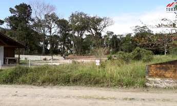 Imagem 3: TERRENO LIMPO E ATERRADO!