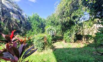 Imagem 5: Casa de 2 pavimentos com amplo terreno