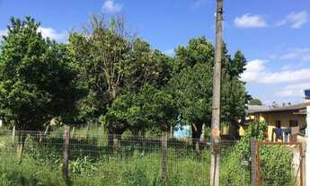 Imagem 3: Terreno em Cachoeirinha