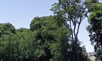 Imagem: TERRENO Á 1 QUADRA DA AVENIDA, COM 504,14m²