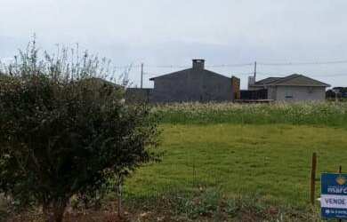 Imagem 3: TERRENO AMPLO EM LOCAL MUITO CALMO