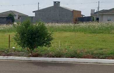 Imagem 6: TERRENO AMPLO EM LOCAL MUITO CALMO