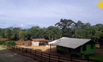 Imagem: ÁREA DE TERRA COM 2.2 HECTARES!