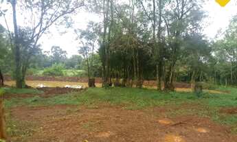 Imagem 4: ÁREA DE TERRA COM 2.2 HECTARES!