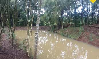 Imagem 7: ÁREA DE TERRA COM 2.2 HECTARES!