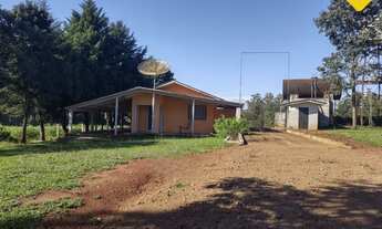 Imagem 5: OPORTUNIDADE DE INVESTIMENTO: GRANJA EM SÃO JOSÉ DO CENTRO!