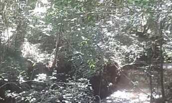 Imagem 2: Chácara a venda em Lagoa dos Três Cantos