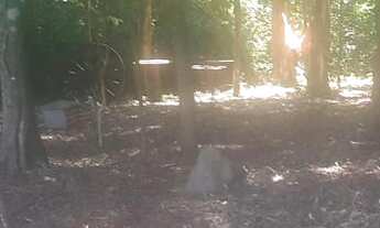 Imagem 7: Chácara a venda em Lagoa dos Três Cantos