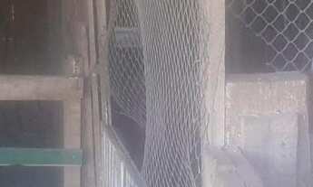 Imagem 5: Chácara a venda em Lagoa dos Três Cantos