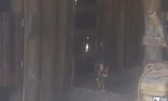 Imagem 6: Chácara a venda em Lagoa dos Três Cantos