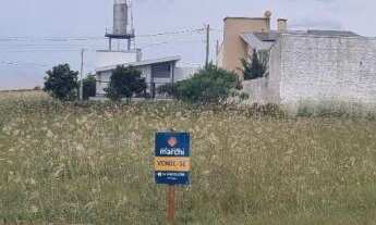 Imagem 2: Terreno para venda em Victor Graeff: não perca essa chance única!