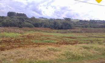 Imagem 2: Terreno à venda de 420 m² em Victor Graeff: oportunidade única!