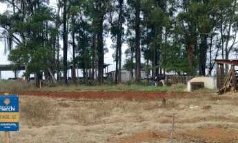 Imagem 4: Oportunidade: Chácara no Interior de Não-Me-Toque com Terreno Plano com 1.740 M²