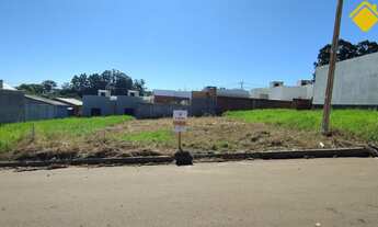 Imagem 2: Terreno à venda em Não-Me-Toque, Vargas - Ótima oportunidade!